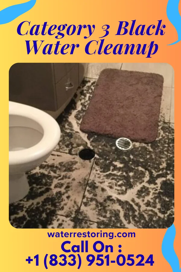 Category 3 Black Water Cleanup in Stella, MO