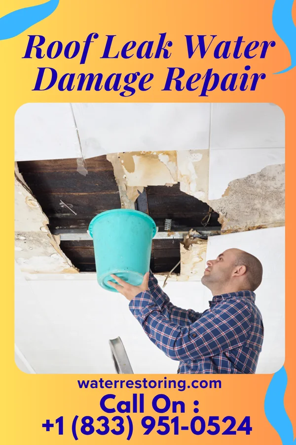 Roof Leak Water Damage Repair in Stella, MO